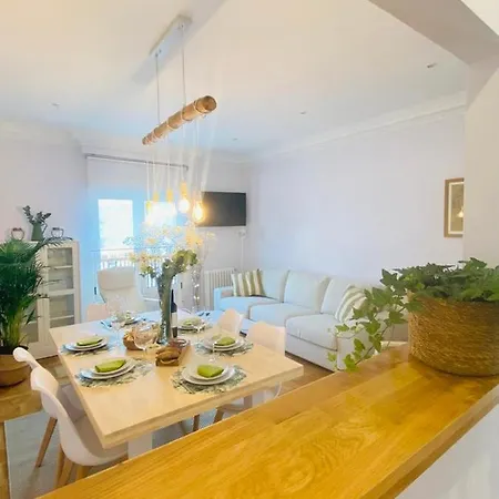 Atico Plaza Apartment Gijón