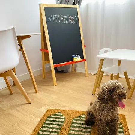 Atico Plaza Apartment